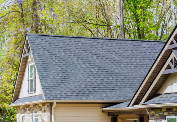 Roof Moss and Algae Removal in Hillsboro, WI